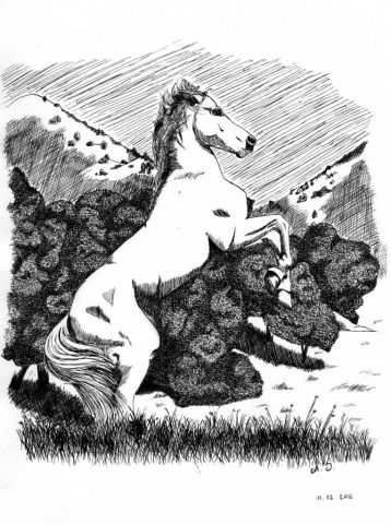 Le cheval blanc - Dessin - AS