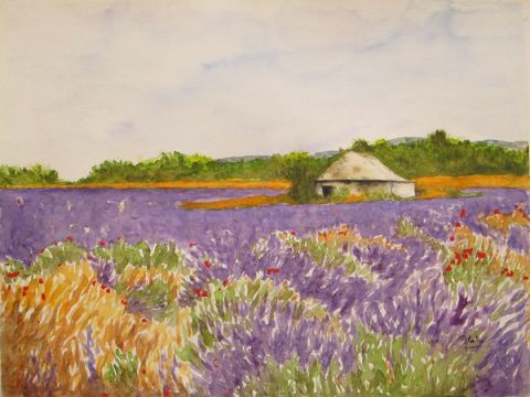 Champ de Lavande et Fleurs (Provence) - Peinture - Alain Van Hecke