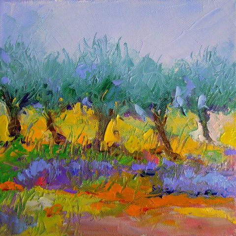 L'artiste Veronique LANCIEN - champs d'oliviers en Provence