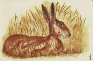 Voir cette oeuvre de dogu erker: Le lièvre dans les champs
