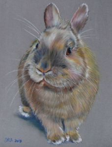 Voir cette oeuvre de Valerie  Jouffroy Ricotta: Canel le lapin