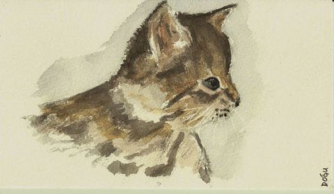 Mon chaton curieux - Peinture - dogu erker