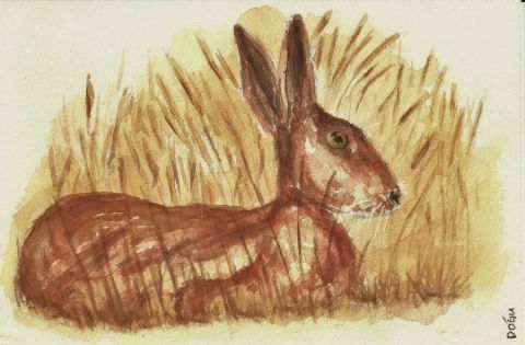 Le lièvre dans les champs - Peinture - dogu erker