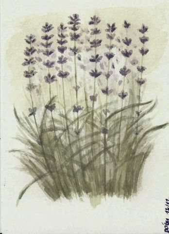L'artiste dogu erker - Bouquet de lavandes