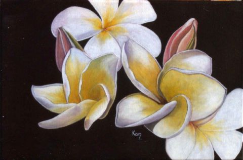 Champa muong Lao ( fleurs de frangipanier) - Peinture - KAN