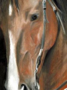 Voir cette oeuvre de Renaud H: quater horse