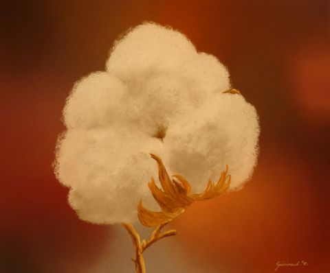 Fleur de coton - Peinture - Etienne Guerinaud 