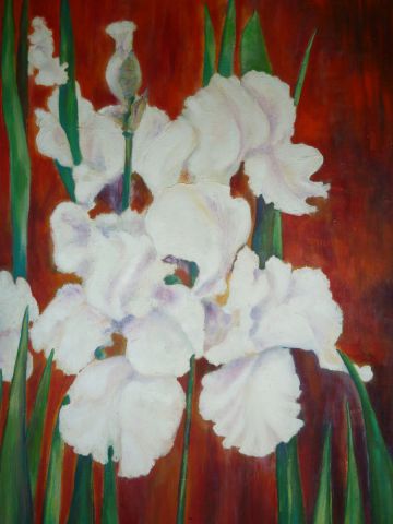 L'artiste Cate Evans - White irises