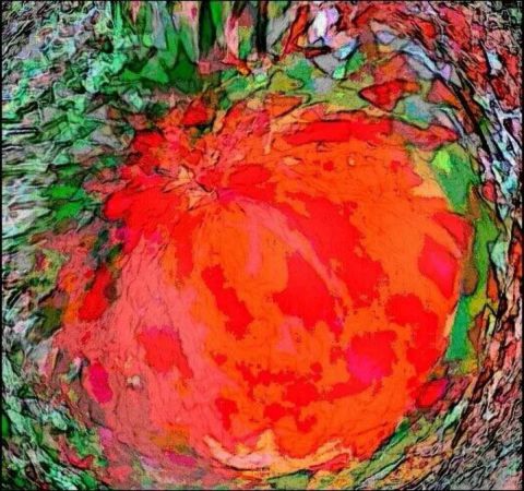 pomegranate - Peinture - Tami Samkharadze