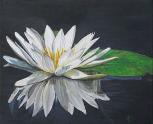 Voir le détail de cette oeuvre: Sur l'étang, un Nymphéa blanc