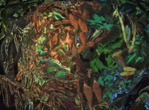 L'esprit de la forêt - Art numerique - Agnes Kerboriou