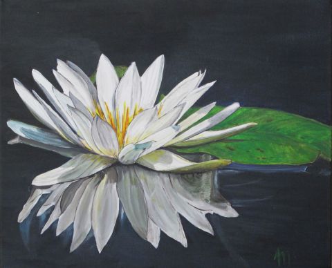Sur l'étang, un Nymphéa blanc - Peinture - annie massollo