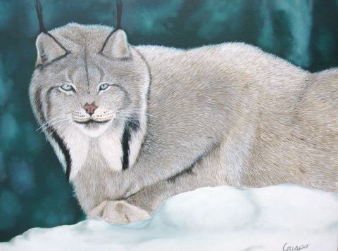 L'artiste Jean Yves Crispo - Lynx du Canada
