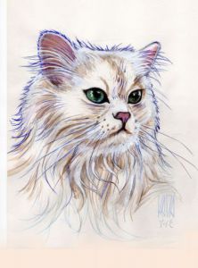 Voir cette oeuvre de Mohamed Kada: Cat 1