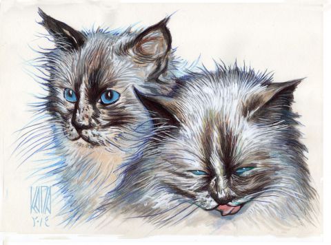 Cat  2 - Peinture - Mohamed Kada