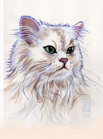 L'artiste Mohamed Kada - Cat 1