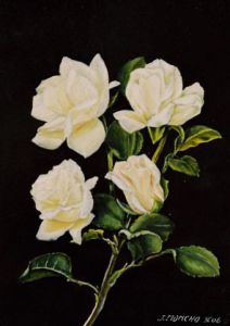 Voir le détail de cette oeuvre: Roses blanches