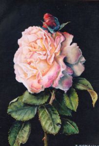 Peinture de Jacques MONCHO: Une rose pour...
