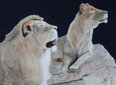 Lions éblouis - Peinture - Christian Bligny