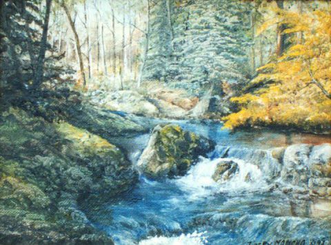 Rivière sous bois - Peinture - Jacques MONCHO