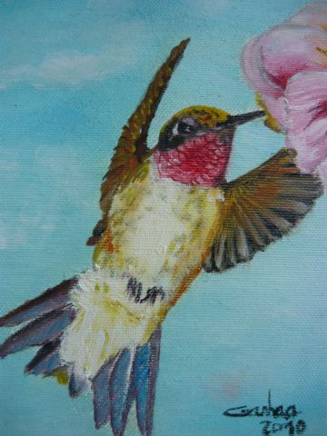 Colibri - Peinture - Raphael