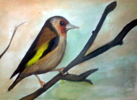 L'artiste roselyne halluin - l'oiseau sur la branche