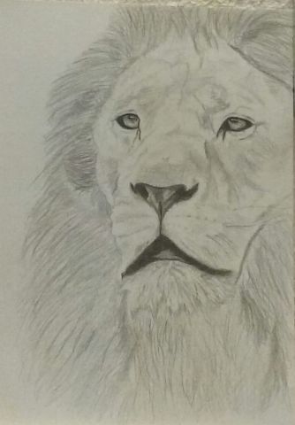 L'artiste baroel - lion