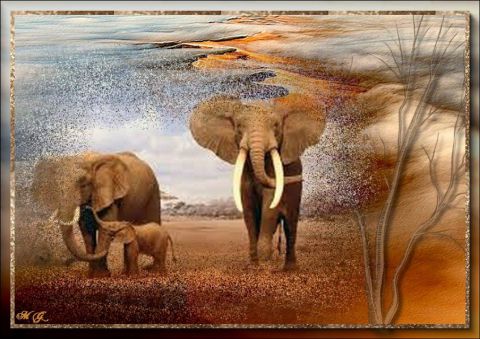 éléphants - Art numerique - Malougraphisme