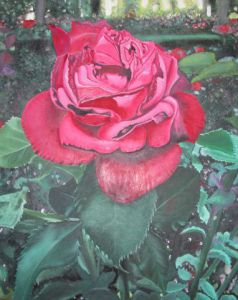 Voir le détail de cette oeuvre: rose du galebiersch