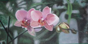 Voir cette oeuvre de Dennicodemo: orchidee.dennico