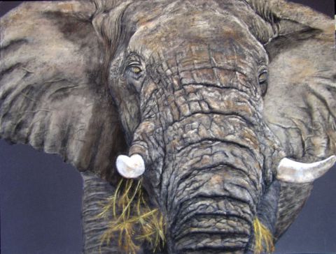 L'artiste perronno nelly - éléphant