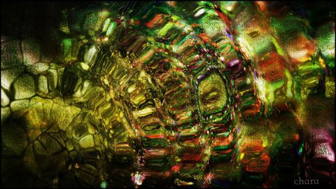 L'artiste chara - Mandala verde - Peinture digitale