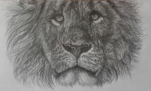 Voir cette oeuvre de Diademe: Panthera Leo