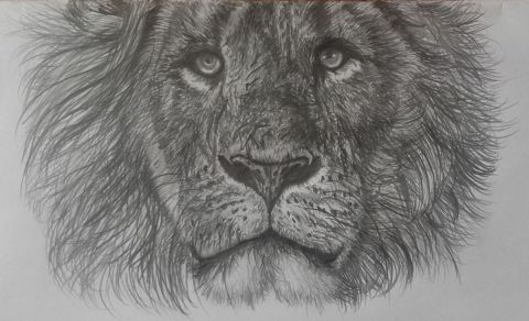 L'artiste Diademe - Panthera Leo