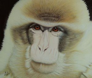 Voir cette oeuvre de Nibani: Le primate   