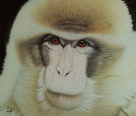 Le primate    - Peinture - Nibani