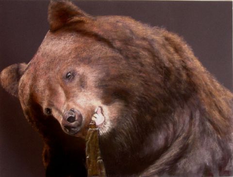 grizzly - Dessin - perronno nelly