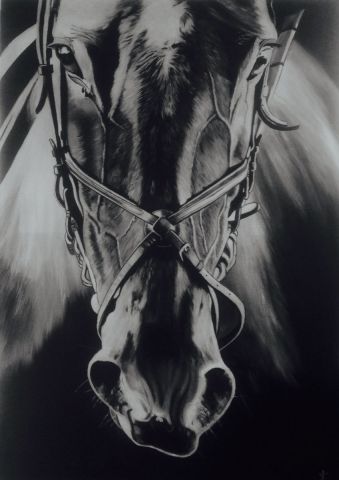 HORSE  - Peinture - KREA