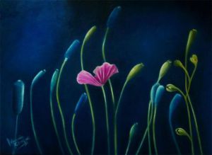 Voir cette oeuvre de Art Mounia: fleurs coquelicot