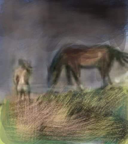 La femme et le cheval...  - Art numerique - Jacky Patin