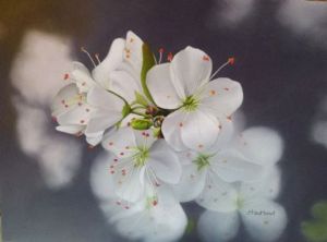 Voir cette oeuvre de Jacqueline HAUTBOUT: Fleurs de cerisier