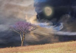 Art_numerique de Max Parisot du Lyaumont: Arbre et champ sous un ciel violet