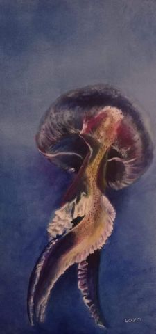 L'artiste loyd - Méduse colorée