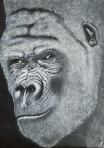 Voir cette oeuvre de thierry vernet: gorille